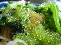 Tobiko vert.