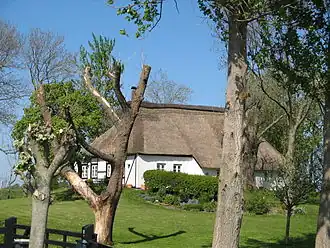 Oesterwurth