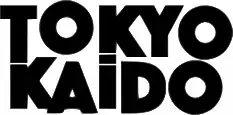 Image illustrative de l'article Tokyo Kaido