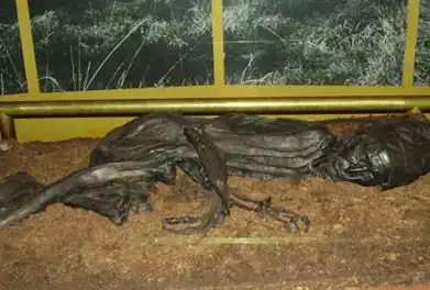 L'Homme de Tollund conservé au musée de Silkeborg