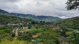 Tolongoina