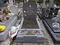 Tombe d'Evguéni Guéguétchkori.