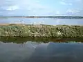 Double tombolo.