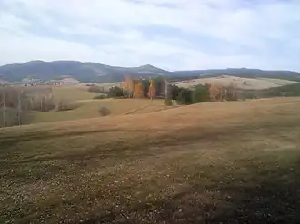 Tometino Polje