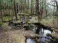 Cours d'eau