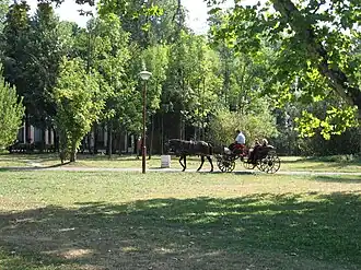 Topčider