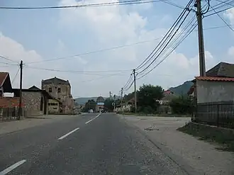Topolovnik