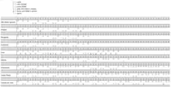 Transcription des toques de berimbau