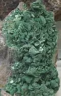 Torbernite- Steinbach, Erzgebirge - Musée minéralogique de Bonn (Allemagne)