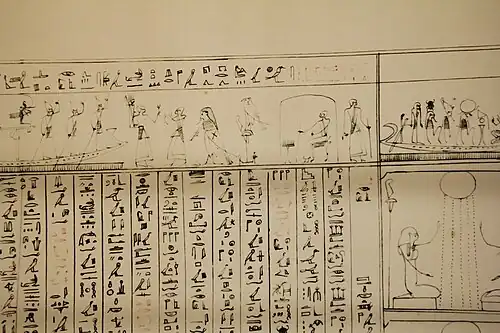 Papyrus.