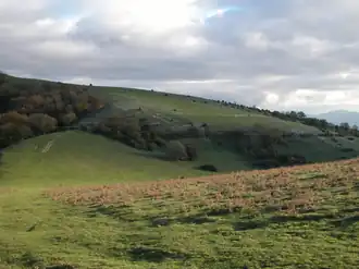 Vue du sommet.