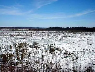 Parc national de Torronsuo.