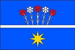 Drapeau de Toušice