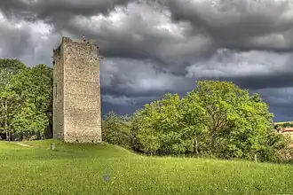 Image illustrative de l’article Château de Saint-Martin-du-Chêne