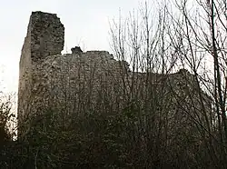 Vaudémont, tour Brunehaut XIe&nbsp;siècle.