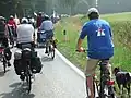 Entre Allendorf (Schwalmstadt) und Michelsberg (Schwalmstadt)