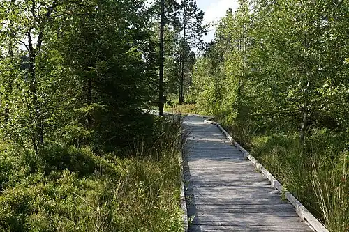 Chemin de découverte des tourbières.