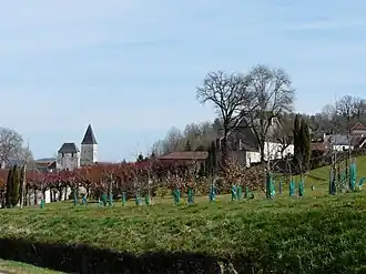 Tourtoirac
