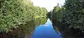 Rivière Tourujoki.