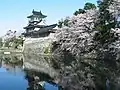 Douve du château de Toyama.