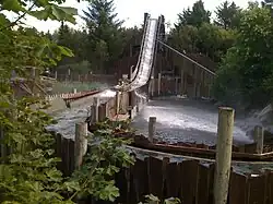 Træstammerne