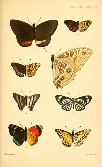Description de l'image TransEntSocLondPlateIV.jpg.