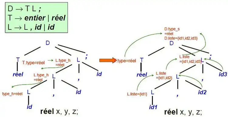 Ordre d'évaluation