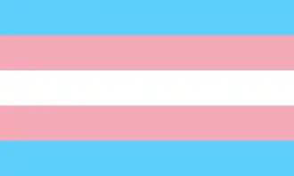 Drapeau transgenre