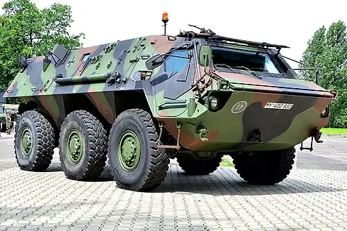 Image illustrative de l'article TPz Fuchs