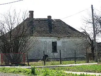 Trbušac