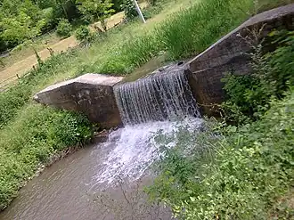 Trešnjevak