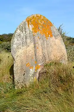 Image illustrative de l’article Menhir de Run-ar-Gam