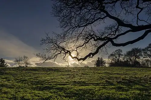 Muiravonside Country Park (en) (Bataille de Prestonpans)