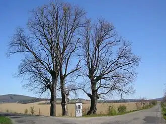 Třeština