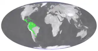 Description de l'image Trichomanes crispum distribution.png.
