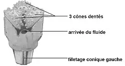 Tricône
