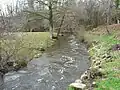 Le Trieux en aval du moulin de l'Age, en limites de Maisonnais-sur-Tardoire et de Busserolles.
