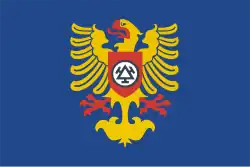 Drapeau de Třinec