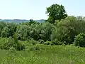 Le tripoint Belgique-France-Luxembourg se trouve en pleine nature, à quelques dizaines de mètres d'une route et des zones industrielles.