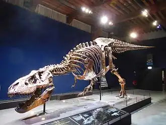 Image illustrative de l’article Trix (dinosaure)