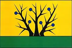 Drapeau de Trnávka