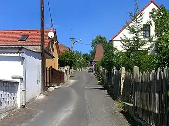 Trnovany