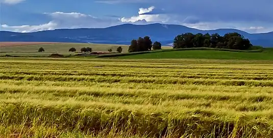 Paysage rural.