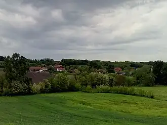 Trska