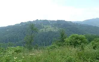Trstena (Vranje)
