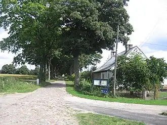 Trzeszczyna