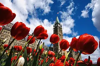 Image illustrative de l’article Festival canadien des tulipes