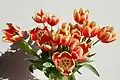 Bouquet flou