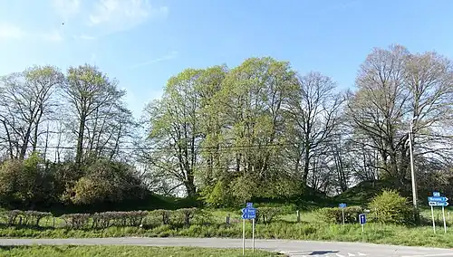 Les tumulus d'Omal