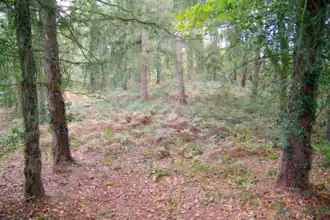Tumulus.